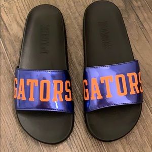 Florida Gators slides